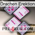 Dragon Erection 33